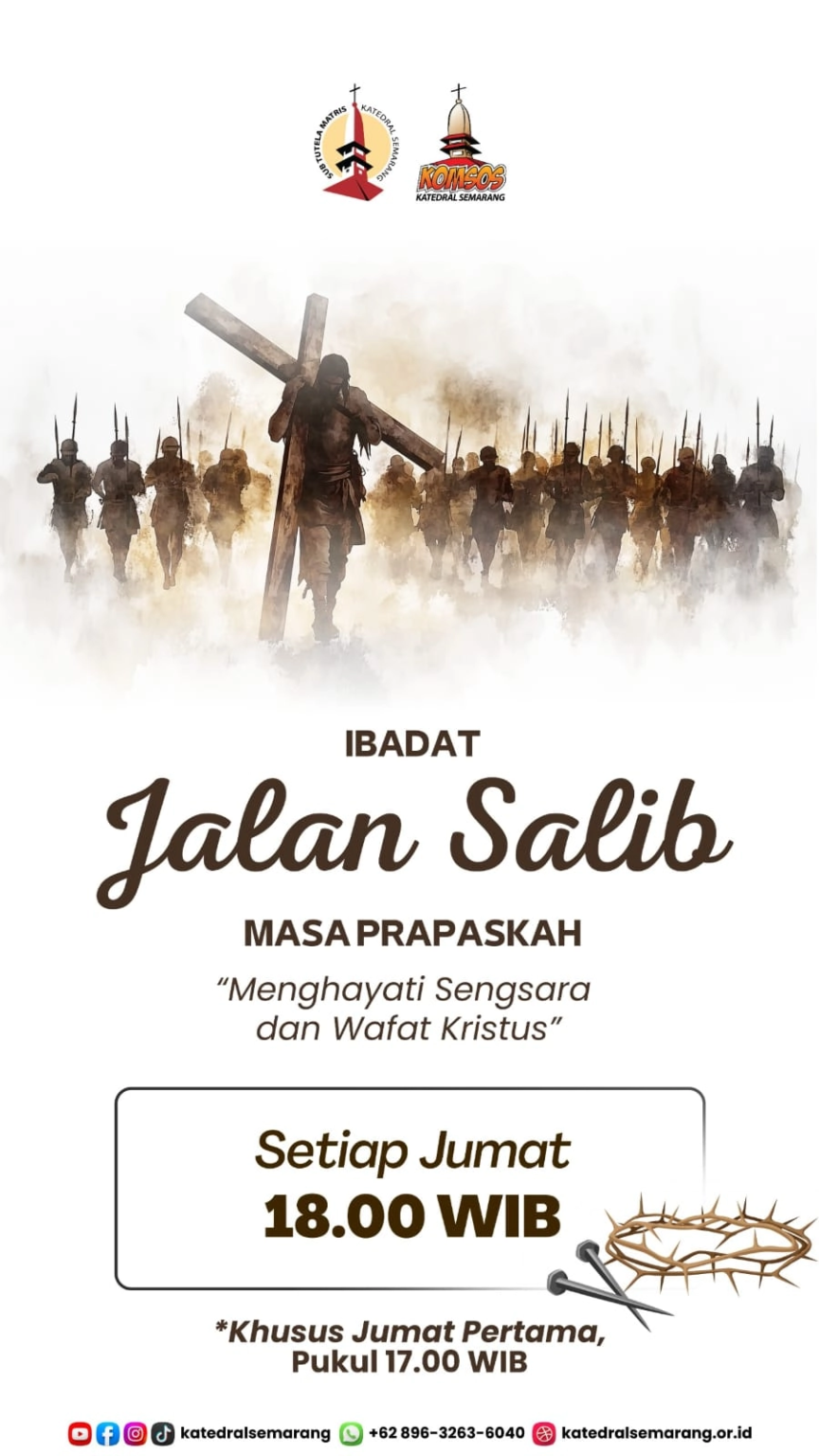 WhatsApp Image 2026-02-17 at 15.46.23